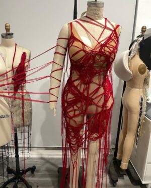Natalia Fedner Instagram - She’s just so pretty 😍 

@zerinaakers provided amazing creative direction on this fun project. She directed me to design and make a dress that looked like “capillaries and veins”. Since I love knitting and working with ribbons, I suggested using chiffon. I took deadstock silk chiffon, cut it into continuous ribbons, and knit those ribbons into panels. The panels were sewn together to create the illusion of “a capillary network”. And of course, @theestallion brought the very sustainable dress to life in a spectacular way.

#sustainability #sustainablefashion #knitting #knitdress #reddress #megantheestallion #HISS #zerinaakers