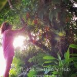 Natalia Lobo Instagram - Desde muy chica que la naturaleza es mi gran compañera , mi mejor amiga La vida humana en esta Tierra existe gracias a ella Llego el momento de restablecer la complicidad y la comunicacion sutil entre los hombres y la naturaleza , para recuperar el equilibrio humano y planetario Lei estos dias que a traves de las edades , los hombres fueron iluminados, guiados e inspirados por la conciencia de la naturaleza y que la perdida de esa complicidad es en si una perdida de grandes conocimientos y de grandes sabidurias , que aseguraban a los hombres una vida mas equilibrada y armoniosa Volvamos a recuperar el equilibrio y la armonia El momento es ahora Ella esta cerca tuyo donde quiera que te encuentres mirala , senti , abri tu corazon , respira , agradece y conectate 🙌 #crearnuestrapropiarealidad #elevarlafrecuencia #amorporlanaturaleza