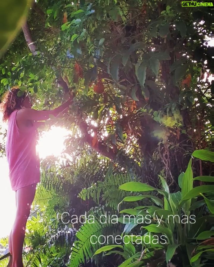 Natalia Lobo Instagram - Desde muy chica que la naturaleza es mi gran compañera , mi mejor amiga La vida humana en esta Tierra existe gracias a ella Llego el momento de restablecer la complicidad y la comunicacion sutil entre los hombres y la naturaleza , para recuperar el equilibrio humano y planetario Lei estos dias que a traves de las edades , los hombres fueron iluminados, guiados e inspirados por la conciencia de la naturaleza y que la perdida de esa complicidad es en si una perdida de grandes conocimientos y de grandes sabidurias , que aseguraban a los hombres una vida mas equilibrada y armoniosa Volvamos a recuperar el equilibrio y la armonia El momento es ahora Ella esta cerca tuyo donde quiera que te encuentres mirala , senti , abri tu corazon , respira , agradece y conectate 🙌 #crearnuestrapropiarealidad #elevarlafrecuencia #amorporlanaturaleza