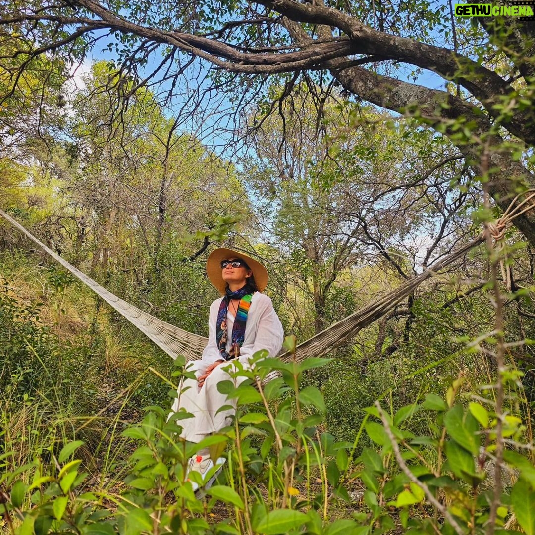 Natalia Lobo Instagram - Habitar el presente , transitar lo desconocido , abrirse a los portales , seguir las intuiciones , escuchar el cuerpo , estar atenta a las seƱales , terminar de soltar , prepararse para la aventura , materializar proyectos , leer , escribir , investigar , respirar ozono puro , caminar senderos salvajes , encontrarse con gente querida y cargada de sabiduria , comer sano , escuchar el sonido de los arroyos , hamacarse bajo un arbol..... Gracias @reservacalagualaoficial por estos dias de todo esto y mucho mas š¤