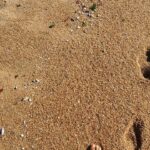 Natalia Lobo Instagram - Cuando podemos salir de nuestra mente , que todos los dias nos dice lo mismo , que nos mantiene atrapados en el mismo cuento , una y otra vez ,....nos damos cuenta que la vida , como el mar , siempre nos trae cosas nuevas ... Todos los dias son diferentes Que es eso que te estas repitiendo una y otra vez que no te permite ver ??? Que hacemos para salir de ese eterno dia de la marmota ???!!!!! #losimplecura