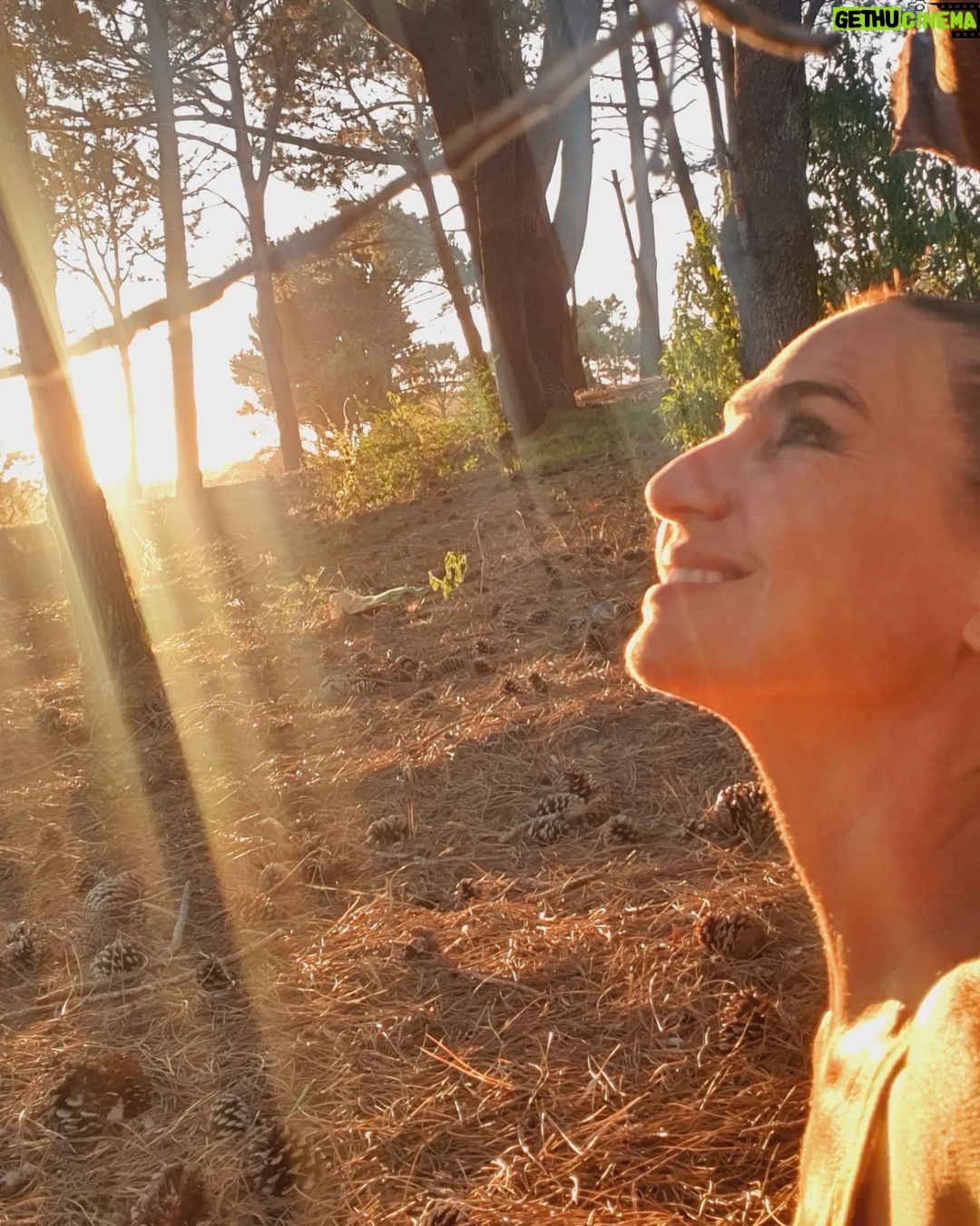 Natalia Lobo Instagram - Respiro luz π« Conecto los rayos del nuevo sol con cada una de mis celulas Conecto con las sensaciones dentro de mi cuerpo Con mis chacras , con mi ADN Conecto con la Tierra , con los arboles , con los pajaros .... con la naturaleza toda Conecto con mi proposito Conecto con la alegria Y con el milagro de estar viva Activo el pulsar de mi corazon , lo siento , siento el latido y desde ahi , desde ese centro conecto con todo y con todos Llego el momento de ponerle el cuerpo al cambio Llego el momento de ser un canal entre el cielo y la tierra Llego el momento de abrir el corazon Es aqui y es ahora Conecto , irradio Y agradezco !!!!