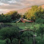 Natalia Lobo Instagram - Ya estamos en primavera y el jardin encantado despierta Todo lo sembrado todo lo vivido todo lo rezado durante tanto tiempo comienza a dar sus frutos se materializa naturalmente como las flores y la huerta Respiro despierto mi corazon confio en el fluir del Universo me conecto con la Tierra agradezco estar rodeada de tanta Vida y abro los brazos .... llego el momento de compartir !!! @tierradeoromerlo 🦄 Gracias @flagreco #elevarlafrecuencia #crearnuestrapropiarealidad #amorporlanaturaleza