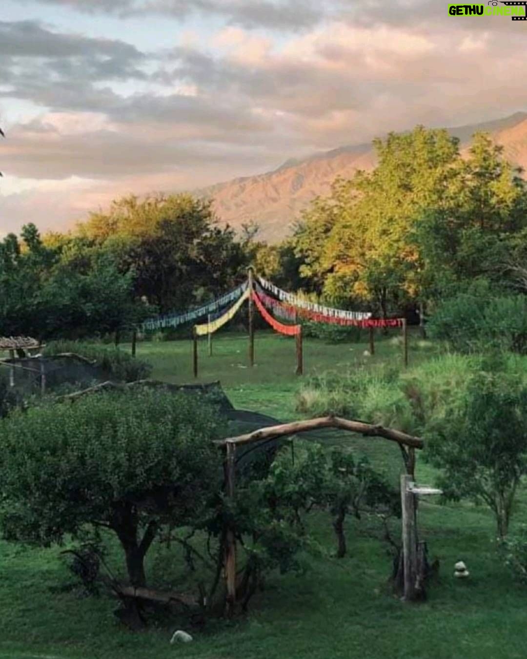 Natalia Lobo Instagram - Ya estamos en primavera y el jardin encantado despierta Todo lo sembrado todo lo vivido todo lo rezado durante tanto tiempo comienza a dar sus frutos se materializa naturalmente como las flores y la huerta Respiro despierto mi corazon confio en el fluir del Universo me conecto con la Tierra agradezco estar rodeada de tanta Vida y abro los brazos .... llego el momento de compartir !!! @tierradeoromerlo 🦄 Gracias @flagreco #elevarlafrecuencia #crearnuestrapropiarealidad #amorporlanaturaleza