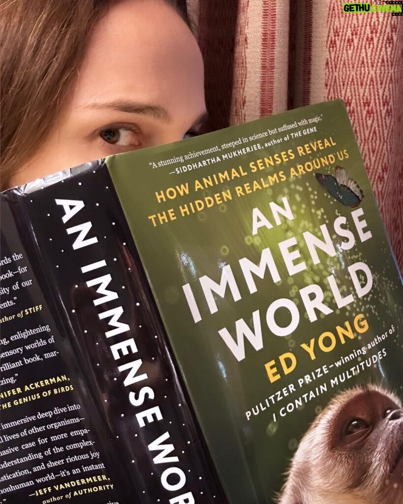Natalie Portman Instagram - A Hannuka present from my cousin Daniella and our January book pick! By taking a closer look at how animals perceive the world within their own sensory bubbles, Yong allows us to see beyond the confines of our senses. #JanuaryBookPick @natsbookclub