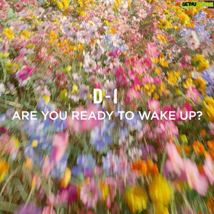 Natalie Portman Instagram - Are you ready to wake up? #WakeUpForLove @DiorBeauty #MissDiorForLove #DiorBeauty