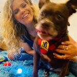 Natalie Stovall Instagram – Today is #RememberMeThursday so let’s show everyone we know how beautiful pet adoption is, how incredible the bond with your rescue is and inspire change for pets in need. Join me and post your adopted pets everywhere on social media to educate and empower others to #ShineALight and adopt an orphan pet today. Show the world your awesome rescue pet, today! #BradyBelle #BostonTerrierMix