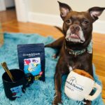 Natalie Stovall Instagram – Brady Belle gets SO excited when she gets a @groundsandhounds box that she immediately starts ripping open her toys 🤣🤣 Mamma 🙋🏼♀️ gets excited cause I immediately rip open the coffee ☕️ Y’all this extra caffeinated The Dog Sleeps In My Bed brew is DELICIOUS and def has an extra kick. 20% of all G&H profits help fund rescue initiatives!!! So you know it’s a fav brand in our house. 🤍 I like when coffee can fuel a greater purpose. #BradyBelle #rescuepup #bostonterriermutt