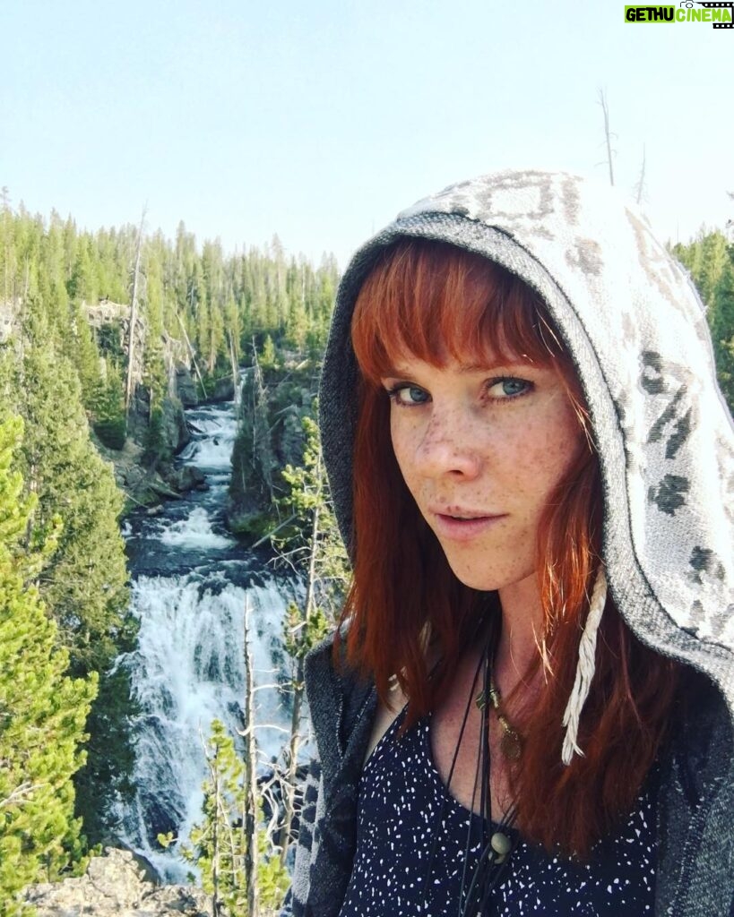 Natalya Rudakova Instagram - Foxy in the forest 🌳 🦊