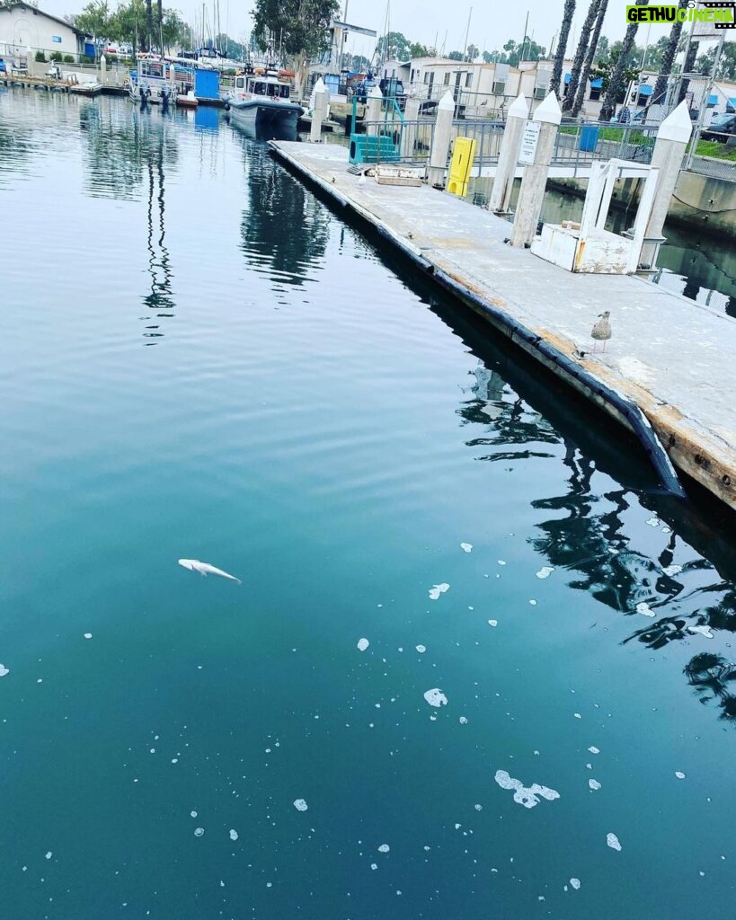 Natalya Rudakova Instagram - Gone fishin’ 🎣 Marina del Rey, California