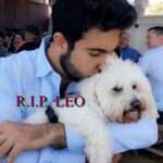 Natasha Alam Instagram - Leo you were a wonderful puppy and your humans miss you very much rest in peace sunshine 😢 @brandonjkahen 💜💜💜💜💜💜💜💜💜💜💜💜💜💜💜💜💜💜💜“A Holy Spirit’s temple is not a body, but a relationship.” Marianne Williamson