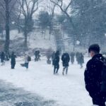 Nathaniel Ho Instagram - My thoughts on snow. With @liljohnnygang. Seriously though, stay safe out there y’alls. #koreavlog #nathokorea Seoul, Korea