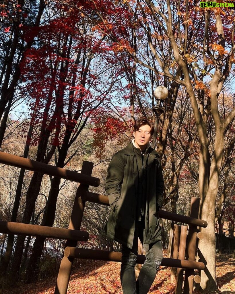 Nathaniel Ho Instagram - Autumn is beautiful. 가을은 아름다워요.🍁 📸: @yujinjinjin1111 Seoul Grand Park
