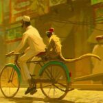 Naveen Selvanathan Instagram - Langur on the way to work. (version 2 is with blur in the bg. Which one looks better?)The larger langurs are used to scare away smaller macaque monkeys from their rampage in Indian cities. . . . #artistsoninstagram #instartist #india #indianstreet #langur #olddelhi #incredibleindia #naveenselvan Los Angeles, California