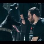 Navid Mohammadzadeh Instagram - 🖤 هرکی اذیتت کرد پارش کن. @frog_series @houman_seyedi @Regna_germanshepherd
