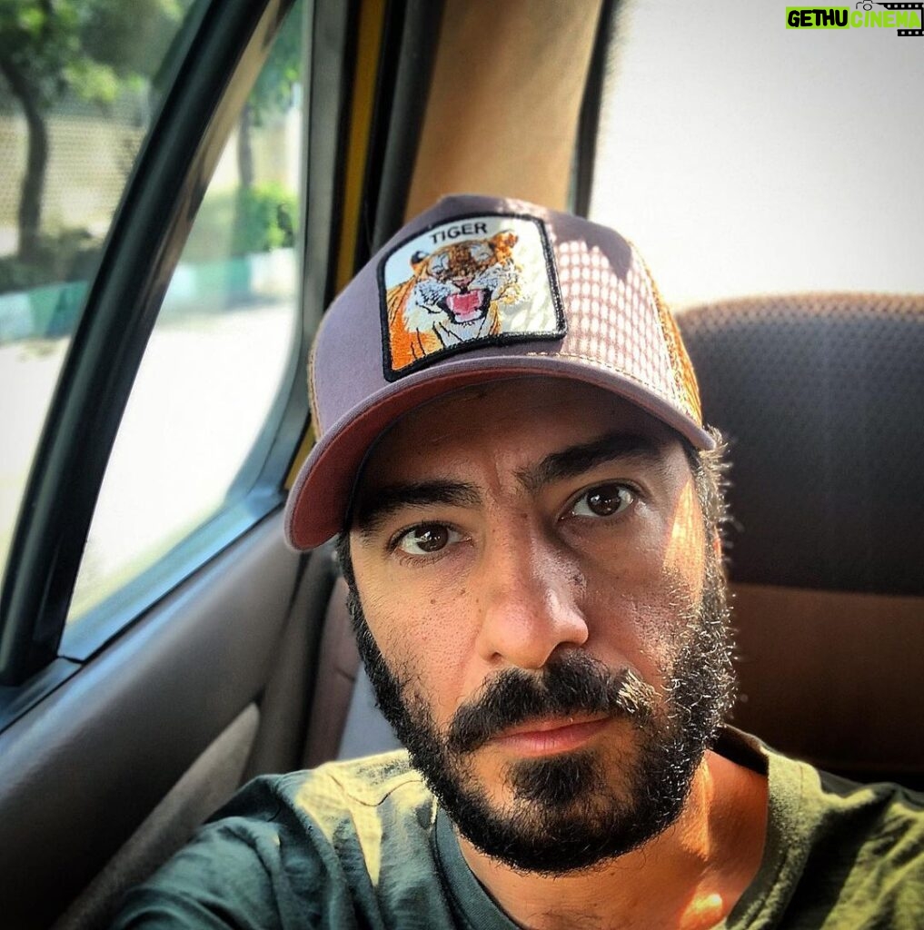 Navid Mohammadzadeh Instagram - 🐅