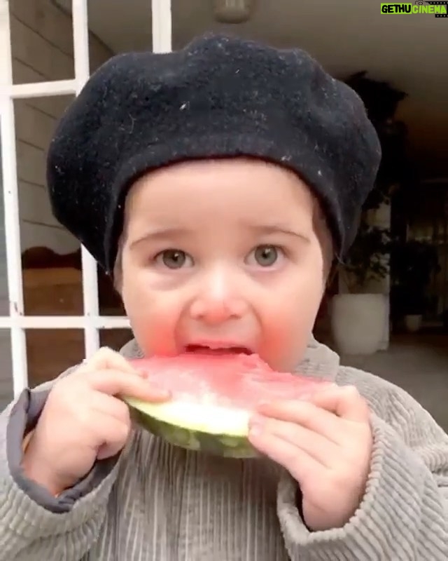 Navid Mohammadzadeh Instagram - 🍉🗝🚪 . آتین خان دشت آرای . #در_خانه_بمانیم @arvand.dashtaray @marenepub 🤳 @anitadshtr #stayhome #attinkhan #youngestspeakingout @youngestspeakingout