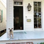 Necar Zadegan Instagram - We had to say goodbye to our beloved Charlie this week. And it was tough. Charlie, my sweet Charlie, I will miss you so. Here are some photos of when he was with us, always, wherever we were. Charlie, an absolute gentleman and the truest friend, thank you for everything, your place will forever be empty here. ❤️❤️❤️ @imarminamiri