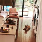 Necar Zadegan Instagram - We had to say goodbye to our beloved Charlie this week. And it was tough. Charlie, my sweet Charlie, I will miss you so. Here are some photos of when he was with us, always, wherever we were. Charlie, an absolute gentleman and the truest friend, thank you for everything, your place will forever be empty here. ❤️❤️❤️ @imarminamiri