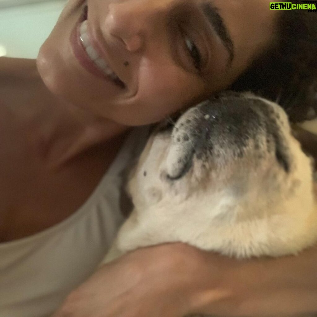 Necar Zadegan Instagram - We had to say goodbye to our beloved Charlie this week. And it was tough. Charlie, my sweet Charlie, I will miss you so. Here are some photos of when he was with us, always, wherever we were. Charlie, an absolute gentleman and the truest friend, thank you for everything, your place will forever be empty here. ❤️❤️❤️ @imarminamiri