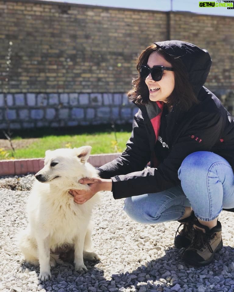 Neda Ghasemi - 58.2K Likes - .
بلفی
