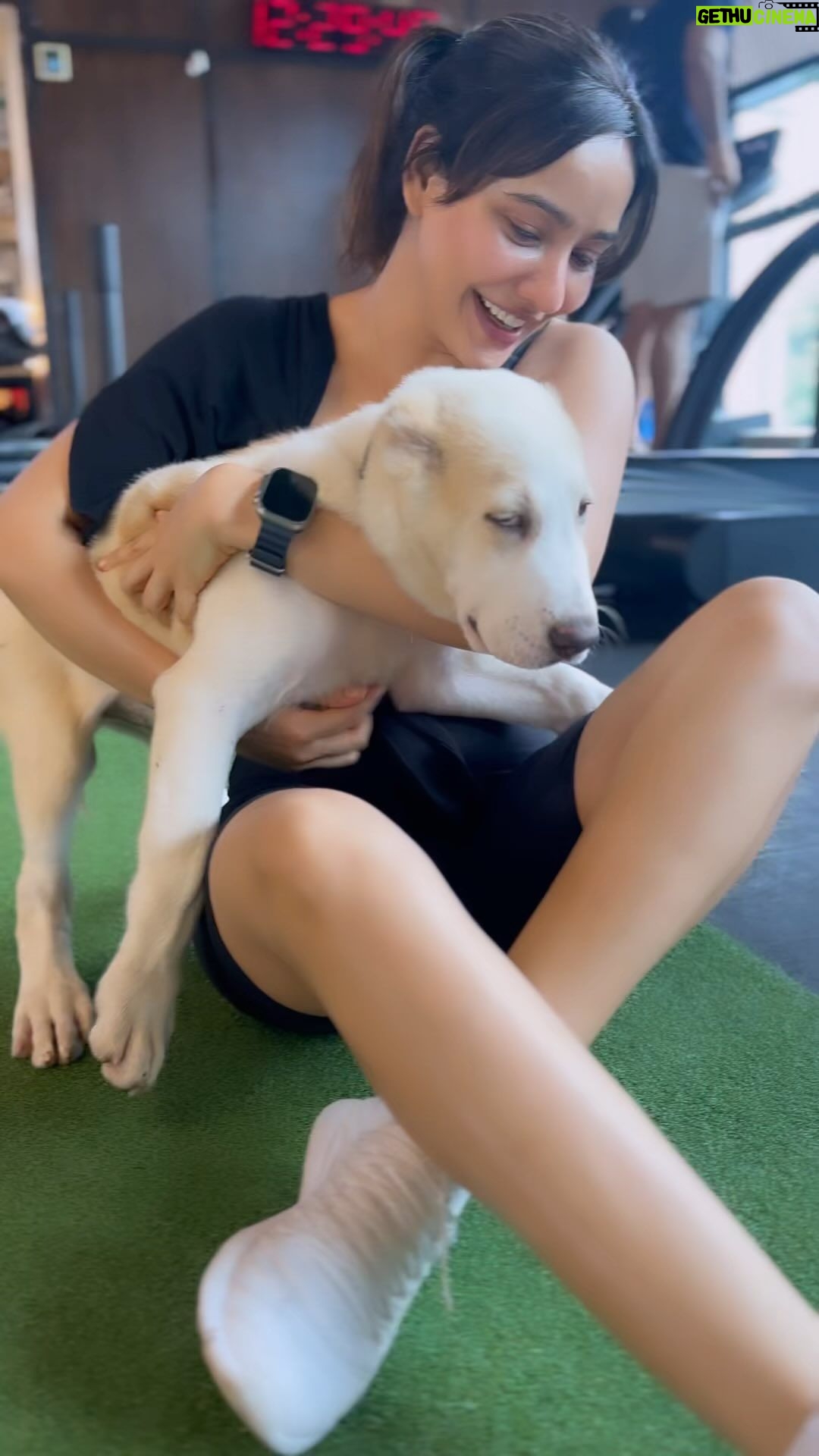 Neha Sharma Instagram - Look who I bumped into at the gym 😍🐾 #dogs #doglover #dogsofinstagram