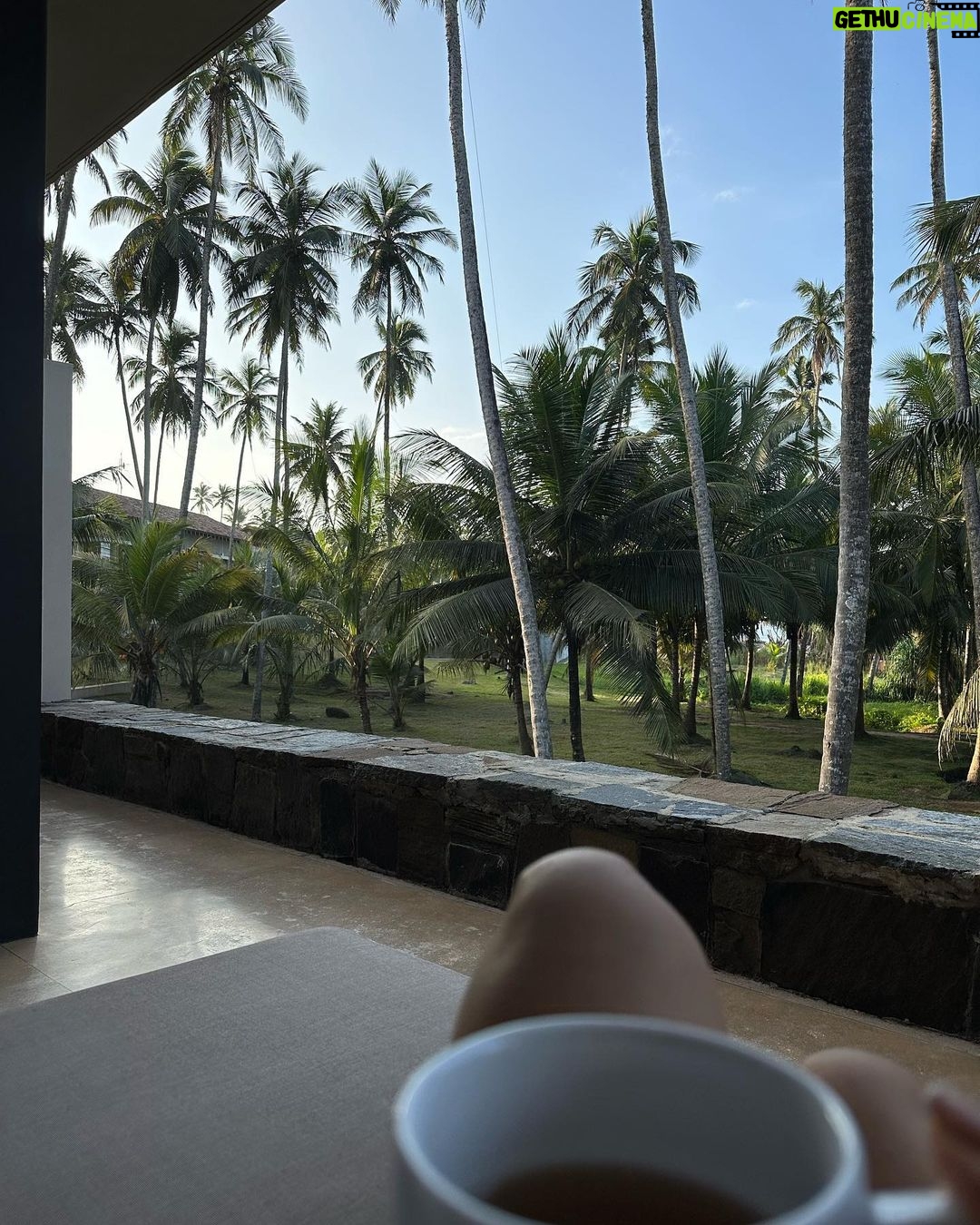 Neha Sharma Instagram - One Aman at a time…. @amanwella_resort @aman #Amanwella #TheSpiritofAman #AmanResort #AmanFoodie