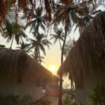 Neha Sharma Instagram - ☕️🐚🤍 Goa, India
