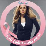 Nelly Karim Instagram - @baheyafoundation always proud of you God bless you @laila.salem.507 ❤️#بهية #مصر