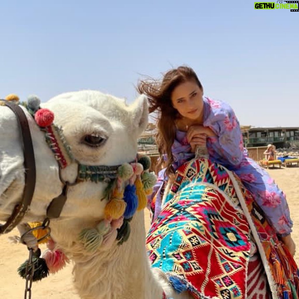 Nelly Karim Instagram - Thank you For the ride 🐪 camello😻#egypt #redsea #hurgada #coming soon#camel
