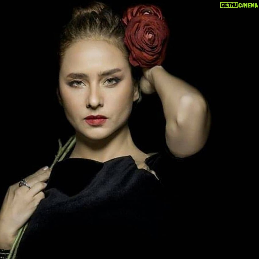Nelly Karim Instagram - @khaledfadda we always find a solution to be different ❤️ @nellykarim_official #photography #shooting #movie #red #rose #egypt #cairo#khaledfaddah styled by the one and only @sahar.m.azab and @maissaazab ❤️