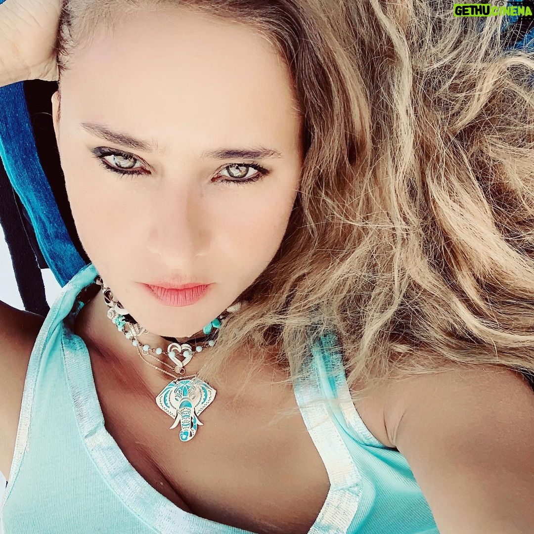 Nelly Karim Instagram - Blue elephant from @lazurde ❤️I love it ...... @blueelephantmovie #movie#lazurde #nellykarim_official #gift #blue #elephant @seashellnorthcoast @thegseashell