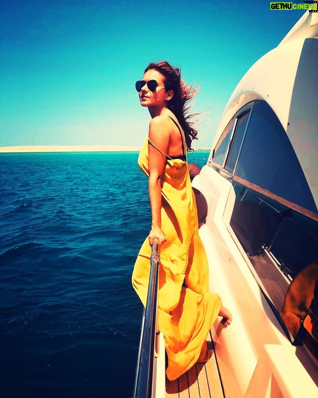 Nelly Karim Instagram - Sea sea sea 🌊❤️ @mahmya.island #egypt #hurgada #redsea #nellykarim #myegypt #positivevibes 📸 @ingie_elmor