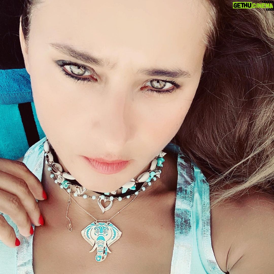 Nelly Karim Instagram - Blue elephant from @lazurde ❤️I love it ...... @blueelephantmovie #movie#lazurde #nellykarim_official #gift #blue #elephant @seashellnorthcoast @thegseashell