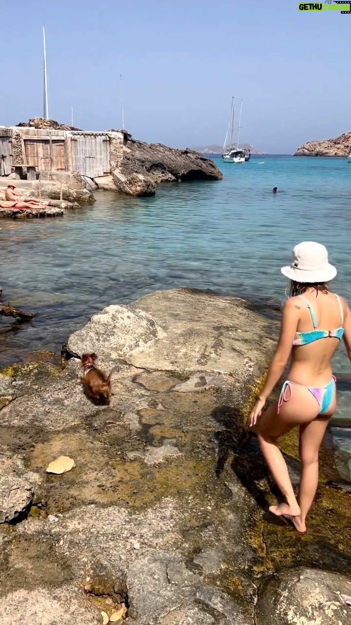Nerea Rodríguez Instagram - Ron y su primera vez en el mar 🦊🏝️ Ibiza, Spain