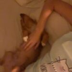 Nerea Rodríguez Instagram – Así es como le hablo a Ron, me tiene así 😍🦊