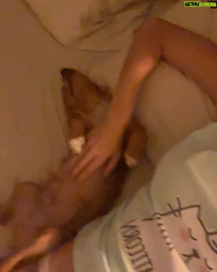 Nerea Rodríguez Instagram - Así es como le hablo a Ron, me tiene así 😍🦊