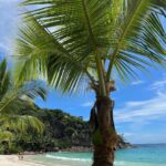 Neslihan Atagül Instagram – Merhaba ben Moana! Okyanusun kalbinden selam getirdim size 🌊🐚 Seychelles