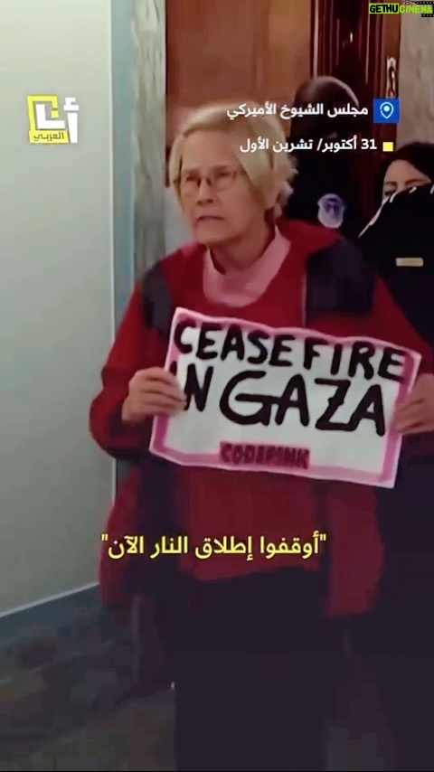 Nesreen Tafesh Instagram - أبطال في مجلس الشيوخ الأميركي .. يدافعون عن فلسطين .. ليسو عرب أو مسلمين ، الانسانية أولا 🕊️ Ceasefire now .. stop the genocide .. shame on you .. #freepalestine 🇵🇸✌🏻