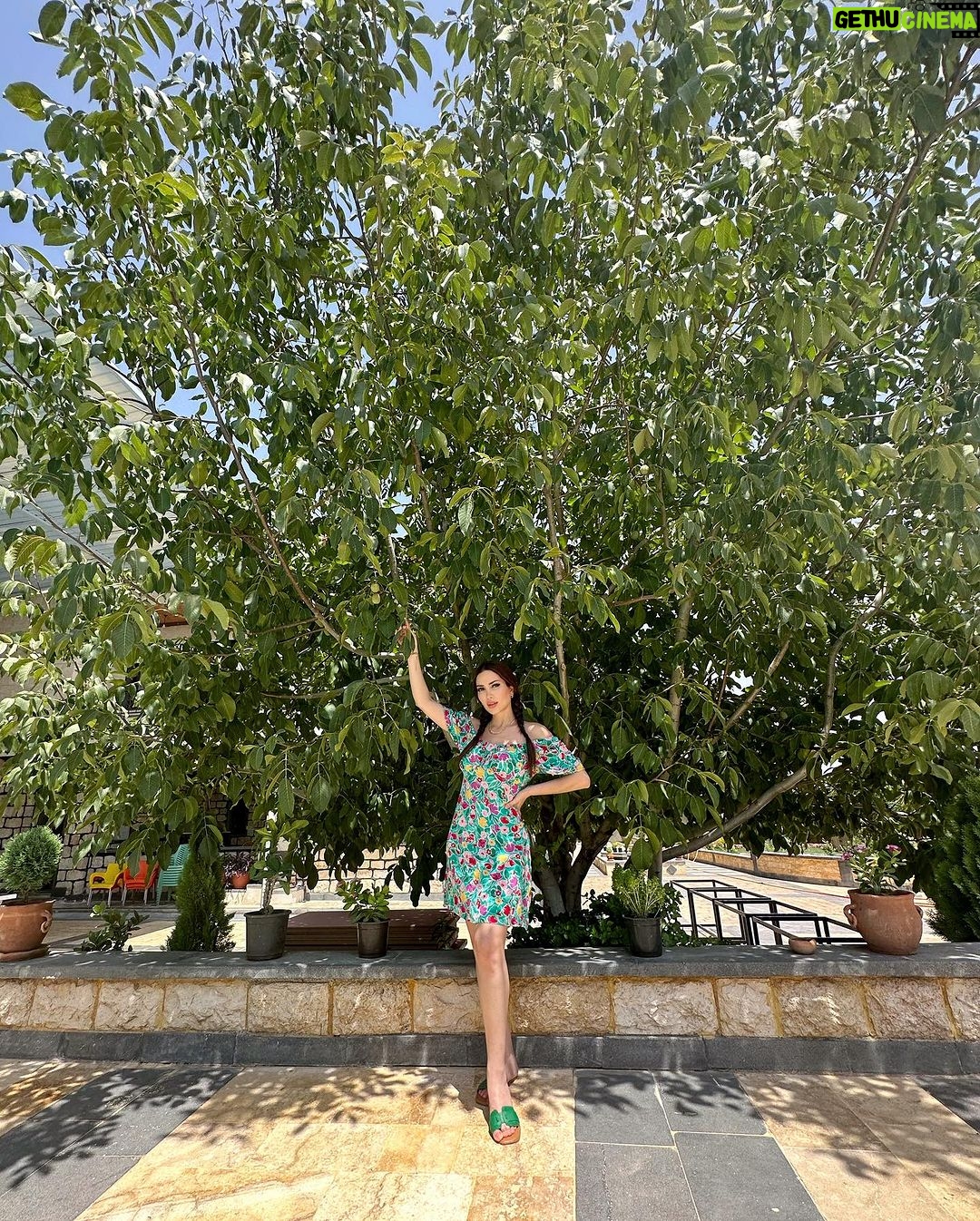 Nesreen Tafesh Instagram - بعشق اغاني ابو وديع ( سلطان الطرب )♥️ يومكون حلو متل قلوبكون 🌹 #حلف_القمر