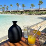 Nesreen Tafesh Instagram – “Keep your face always toward the sunshine ، and shadows will fall behind you.” ☀️
صباحكم سعادة و نور 💖 North Coast, Egypt