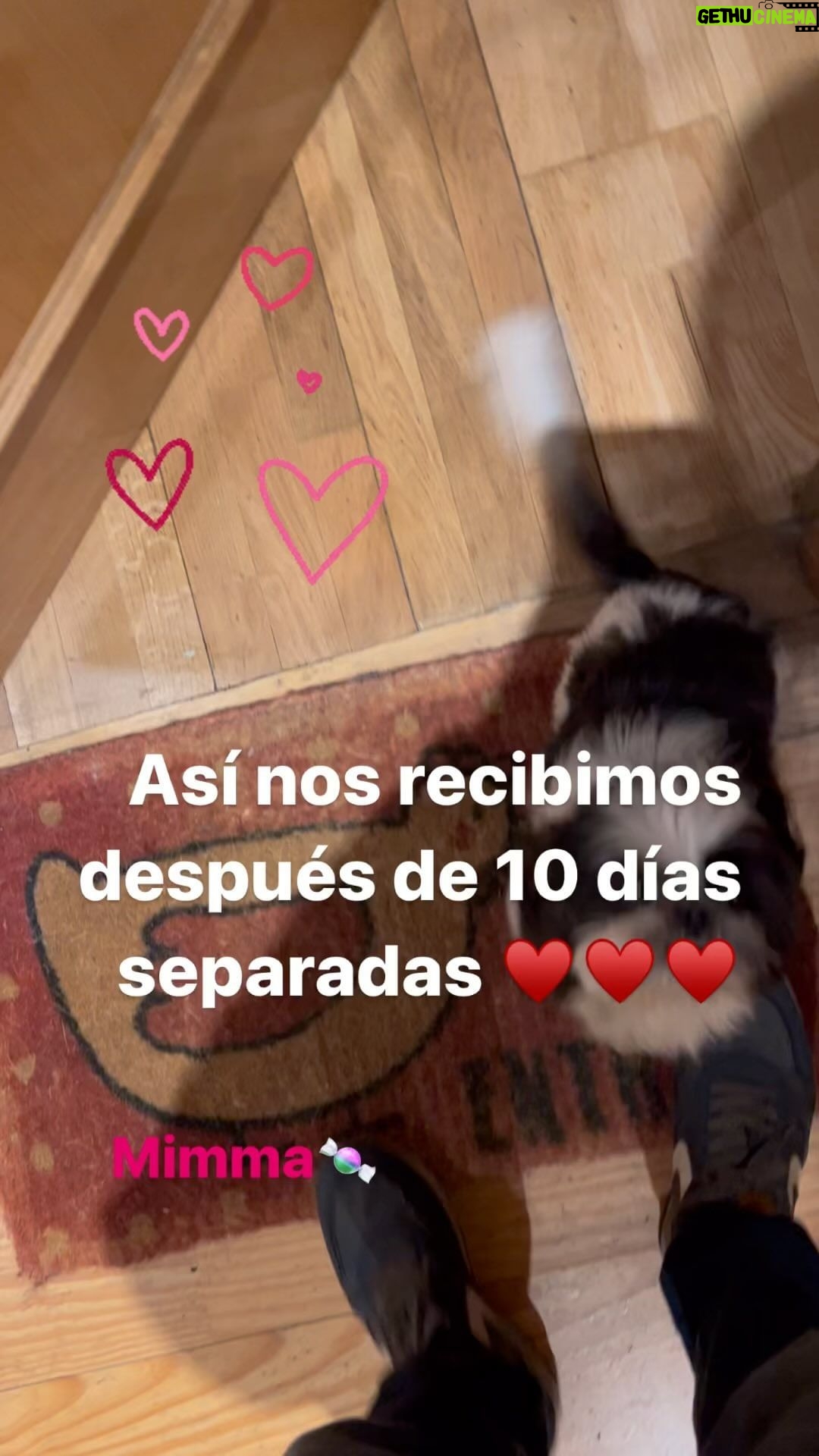 Neus Sanz Instagram - Amor incondicional. Somos mejores desde que ella llegó ♥️