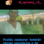 Neus Sanz Instagram - Gracias por vuestra labor @_aproama_18_ Más lugares así!! Más personas así !! Gracias 🐶🐱🐭🐻🐮 . Podéis colaborar: www.aproama.es Telf +34642899947 GRACIAS♥️ Hasta pronto‼️ . #graciasvida #seanfelices #neussanz #assaiassai #refugio