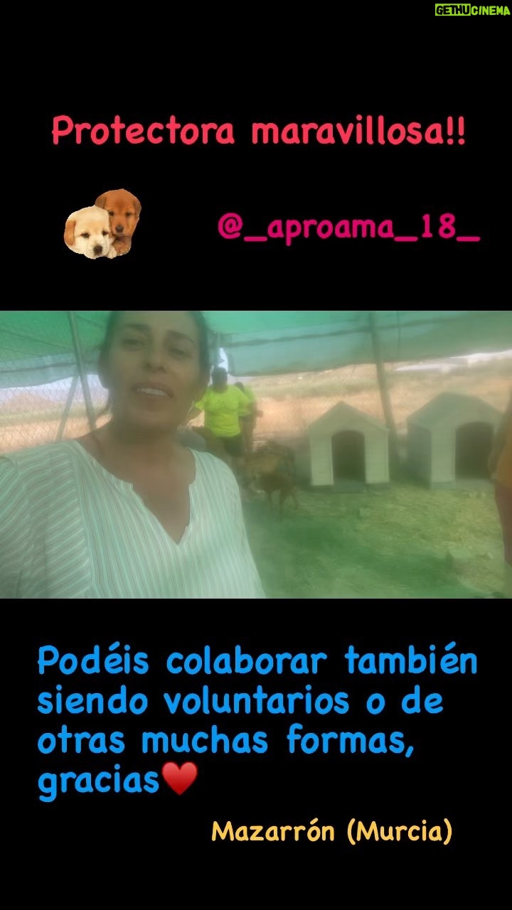 Neus Sanz Instagram - Gracias por vuestra labor @_aproama_18_ Más lugares así!! Más personas así !! Gracias 🐶🐱🐭🐻🐮 . Podéis colaborar: www.aproama.es Telf +34642899947 GRACIAS♥️ Hasta pronto‼️ . #graciasvida #seanfelices #neussanz #assaiassai #refugio