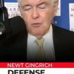 Newt Gingrich Instagram - Reposted @straightarrownews Opinion by @newtgingrich: NDAA insufficient as Defense Department needs major reform. #opinion #defense #news #trend #trending