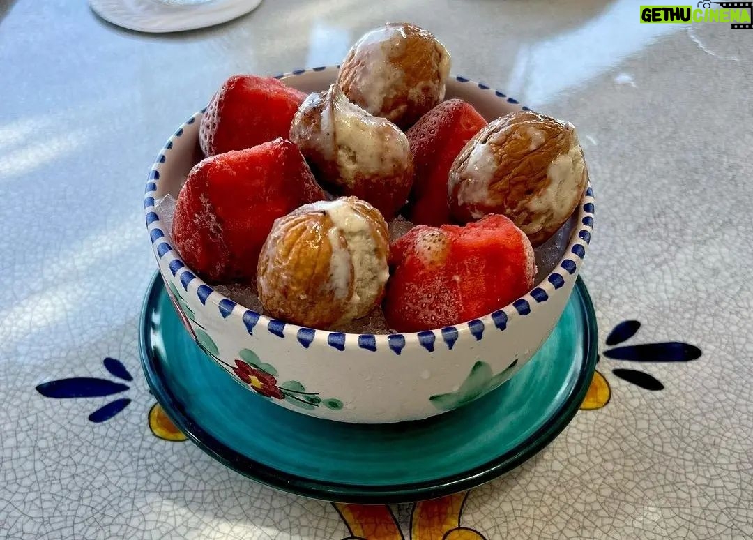 Newt Gingrich Instagram - @callygingrich A taste of Italy from our recent visit 🇮🇹