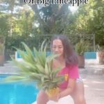 Nia Dinata Instagram - I’m going to start sharing my menopause journey🙏🏼 It is inevitable & not many women want to discuss menopause openly. Dimulai dari tulang sakit semua sejak dua tahun lalu, sering back pain dan..setelah baca baca buku, juga artikel setumpuk..weight lifting ternyata terbukti memperkuat ‘bone density’ perempuan. Padahal seumur-umur paling tidak suka ke gym, dekat dekat barbel, rasanya terintimidasi😝 kalau yoga,terbalik balik, jumpalitan di swing, memang hobi dari dulu..tapi tidak ke gym berkumpul dengan besi besi👻. Nah minggu ini baru mau belanja dumbell, tapi ibu bumi kasih hadiah nanas dari kebun, beratnya 3 kg lebih. Lumayan menantang untuk start rutinitas awal weight lifting ini. Semoga berkhasiat memperkuat tulang, dan pastinya ketawa ngakak karena ketusuk daun nanas tajam, bikin sedikit seimbang hormon-hormon yang menukik turun dalam diri perempuan menopause ini. #mymenopausejourney #pineapplelove #weighttraining #niamaste