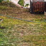 Nia Dinata Instagram – Accepting the long dry season with open heart.Belum hujan 3 bulan ini di Jogja, rumput yang baru kami tanam kering, walaupun rutin disiram. Dari dulu papap selalu bikin pupuk sendiri dari sampah yang dijadikan kompos di rumah Jakarta, sekarang pun hal sama dijalani di rumah Jogja. Sampah tidak dibakar, yang bisa berguna, dimanfaatkan kembali. Sementara, orang orang sekitar masih rutin membakar sampah, nggak di Jogja atau Jakarta sama kebiasaannya. Musim kemarau tambah mendidih dengan asap dari bakar sampah. Kami masih memikirkan solusinya, mulai dari lingkungan terdekat. Semoga ada yang berbagi kisah sukses mengelola sampah dan bisa bekerja sama🙏🏼 #dryseason #climatecrisis #sampahkutanggungjawabku
