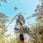 Nia Dinata Instagram - What The World Needs Now Is Love💚 Loving relationship between human and nature is essential. My greeneries capture is a live language for you all today and the coming new year. It is the effect of light on the shades of green, the flow of wind, surrounding noises, and the scents of wonderful leaves. They do heal. Have a safe and wise celebration people💚💚💚 #newyeargift #empu #veggiegarden #thecolorgreen Bangunjiwo