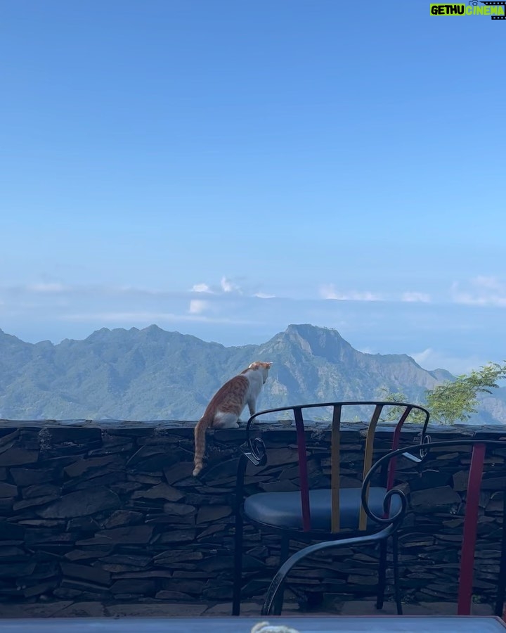 Nia Dinata Instagram - Rejoicing the beautiful mount Inerie (Mother Mountain)of Bajawa✨Flores, terutama Bajawa, dari dulu selalu punya tempat khusus di hati ku. Orang lokalnya begitu tulus dan hangat. Bahagia merasakan komunitas lokal membangun, memelihara penginapan dan restorannya yang super otentik💓 @manulalujungle bangga tinggal di sini #bukanendorse #bestkeptsecret #bajawaflores #supportlocal oh ya..suka sekali dgn hoodies dan joggerpants baru dari @lekatdua @lekatofficial juga bukan endorse, tapi sayang adik sepupu #sisterhood